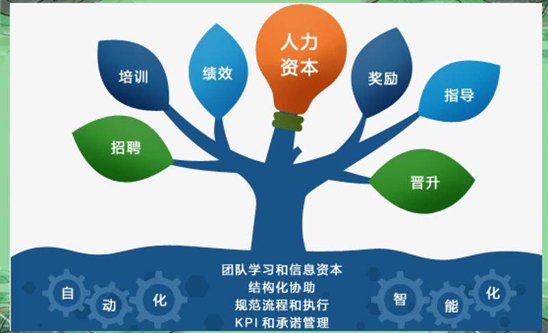 制定战略规划,企业需经历四个关键步骤